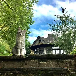 A Bed and breakfast